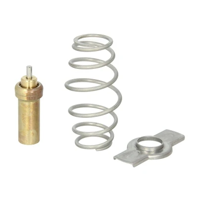 Abbildung von THERMOTEC D2IV006TT Dichtung, Thermostat