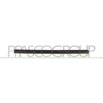 Abbildung von Zier /Schutzleiste, Tür PRASCO VG9041454