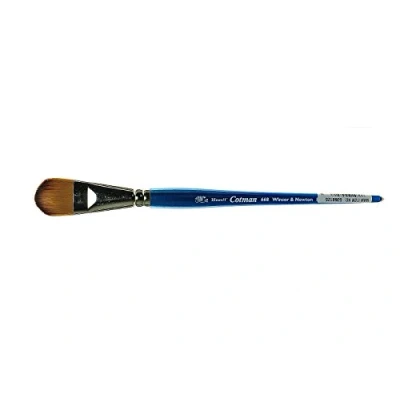 Abbildung von Winsor &amp; Newton 5368125 Cotman Aquarell Synthetikhaar Pinsel Serie 668 Filbertpinsel, kurzer Stiel mit exzellenter Sprungkraft, Farbtragekraft und Punktgenauigkeit 25mm 1&quot;