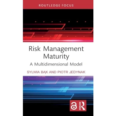 Abbildung von Risk Management Maturity: A Multidimensional Model (Routledge Focus on Business and Management)