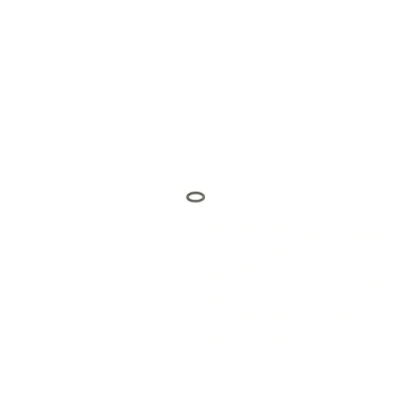 Abbildung von BOSCH 2 440 210 010 Dichtring