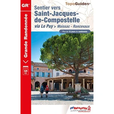 Abbildung von Sentier St Jacques Moissac Roncevaux GR65 +15 j.de rand (653): réf 653 (Grande Randonnée, Band 653)