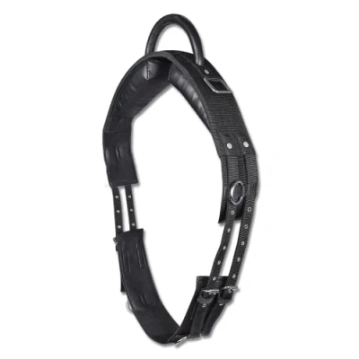Abbildung von Waldhausen Longiergurt mit Handgriff Schwarz Warmblut