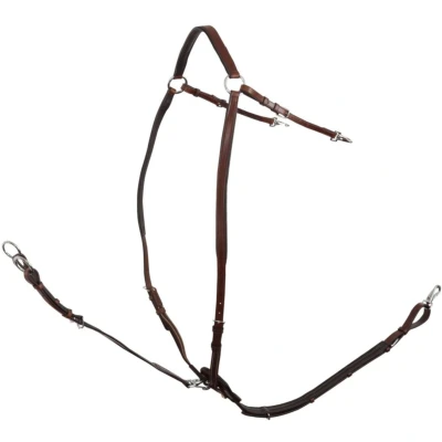 Abbildung von BR Fahrzeug Rayleigh Elastic Cob Oak / Zilver Braun