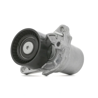 Abbildung von RIDEX 310T0302 Spannrolle RENAULT: GRAND SCENIC 3, Megane 3 Grandtour, Schrägheck, NISSAN: Qashqai / Qashqai+2 I, 2
