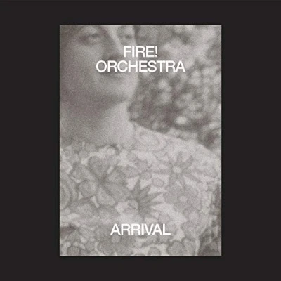 Abbildung von Arrival [Vinyl LP]