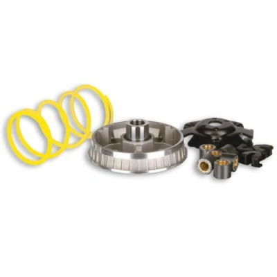 Abbildung von MALOSSI Variator Multivar 2000, für Aprilia 200 Scarabeo/BMW C1, ROTAX Motor 4T LC 20x17mm, 6 Rollen, 10,0g