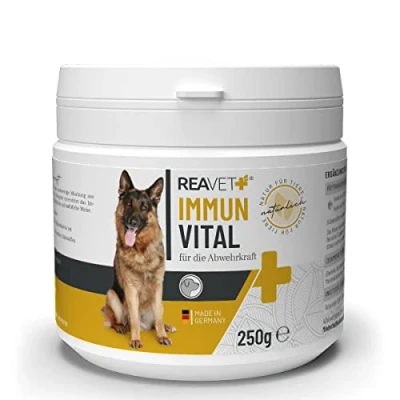 Abbildung von Immun Vital 250 g