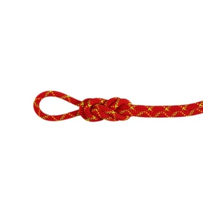 Abbildung von Doppelseil 8.0 Alpine Core Protect Dry Rope fire halo