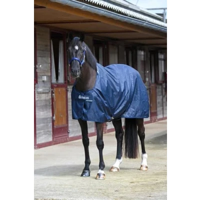 Abbildung von Bucas Stable Sheet