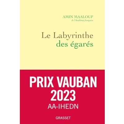 Abbildung von Le labyrinthe des égarés: L&#039;Occident et ses adversaires
