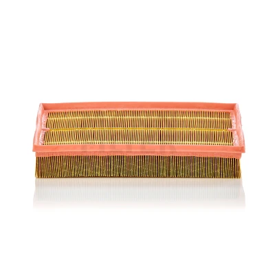 Abbildung von MANN FILTER C 33 189 Luftfilter 50 252 326 Filtereinsatz OPEL: Vectra CC, Caravan, Limousine, FIAT: Croma II Kombi