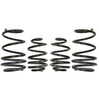 Abbildung von EIBACH Pro Kit E10 75 008 07 22 Fahrwerksatz, Federn RENAULT: CLIO 3