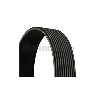 Abbildung von Keilrippenriemen CONTITECH 10PK2135