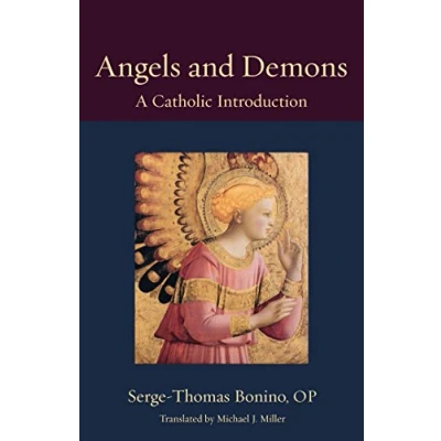 Abbildung von Angels and Demons: A Catholic Introduction (Thomistic Ressourcement, Band 6)
