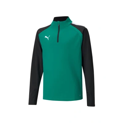 Abbildung von Puma Teamliga Langarmshirt, Herren, Größe: Medium, Green