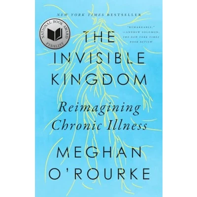 Abbildung von The Invisible Kingdom: Reimagining Chronic Illness