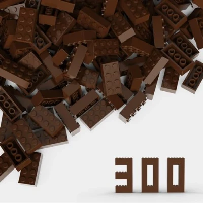 Abbildung von 300 Steine 2x4 Klassische Steine, kompatibel mit Lego Top Marken, MOC Enthusiasten, Farben:Brown