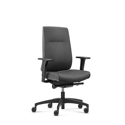 Abbildung von Dauphin Indeed Performance, ergonomischer Bürostuhl mit tiefenverstellbarer Lordosenstütze, höhenverstellbarer Kopfstütze, 2F Armlehnen, Drehstuhl (Polsterrückenlehne, ohne Kopfstütze)