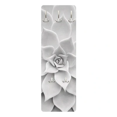 Abbildung von Bilderdepot24 Garderobenpaneel schwarz weiß Blumen Floral Botanik Tropisch Kaktus Sukkulente (ausgefallenes Flur Wandpaneel mit Garderobenhaken Kleiderhaken hängend), moderne Wandgarderobe Flurgarderobe im schmalen Hakenpaneel Design