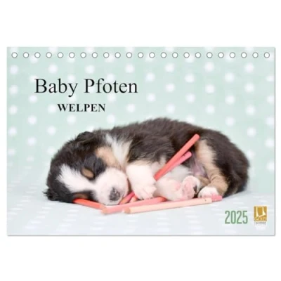 Abbildung von Baby Pfoten (Tischkalender 2025 DIN A5 quer), CALVENDO Monatskalender