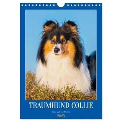 Abbildung von Traumhund Collie Liebe auf vier Pfoten (Wandkalender 2025 DIN A4 hoch), CALVENDO Monatskalender