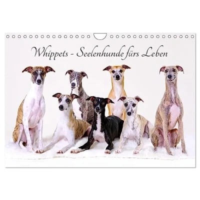 Abbildung von Whippets Seelenhunde fürs Leben (Wandkalender 2025 DIN A4 quer), CALVENDO Monatskalender