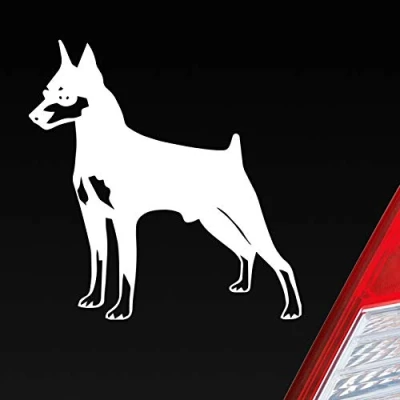 Abbildung von Hellweg Druckerei Zwergpinscher Hund Dog Animal Auto Aufkleber Sticker Heckscheibenaufkleber