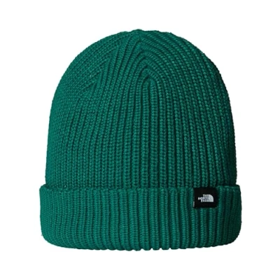 Abbildung von The North Face Fisherman Beanie Unisex Mütze, Größe: One Size, Evergreen