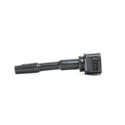 Abbildung von DELPHI GN10798 12B1 Zündspule 3 12 RENAULT: Megane 4 Schrägheck, Kangoo II / Grand Kangoo, Clio DACIA: LOGAN MCV 2, Duster SUV