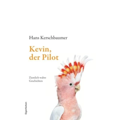 Abbildung von Kevin, der Pilot: Ziemlich wahre Geschichten