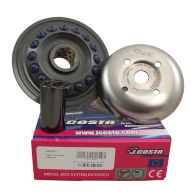 Abbildung von J.Costa Variomatik PRO Gilera GP 800cc / Aprilia SRV 850