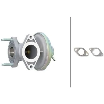 Abbildung von HELLA 6NU 014 865 541 AGR Ventil pneumatisch mit Dichtungen FORD: MONDEO 3 Kombi, 3, Transit Mk5 Bus