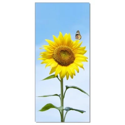 Abbildung von Wallario Türtapete Sonnenblume mit Schmetterling, glatt, ohne Struktur