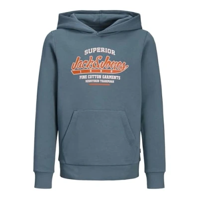Abbildung von Jack &amp; Jones Junior Jjelogo NOOS JNR Kapuzenpullover für Kinder, Größe: 164, Oceanview