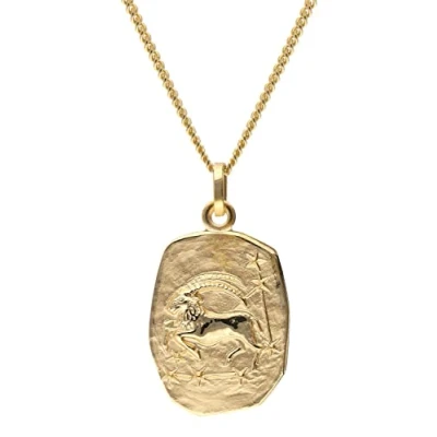 Abbildung von trendor 15404 01 Steinbock Sternzeichen Gold 333 mit vergoldeter Silberkette
