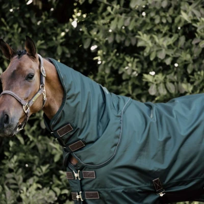 Abbildung von Kentucky Turnout All Weather 160g Dunkelgrün 70/100
