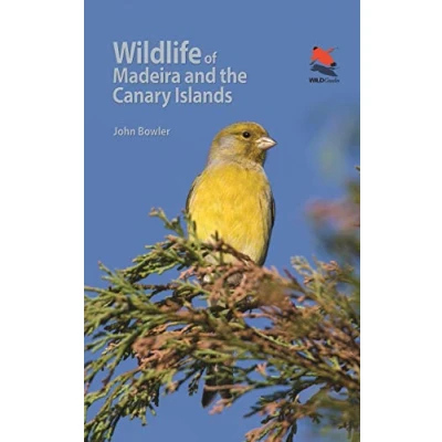 Abbildung von Wildlife of Madeira and the Canary Islands: A Photographic Field Guide to Birds, Mammals, Reptiles, Amphibians, Butterflies Dragonflies (Wildlife Explorer Guides)