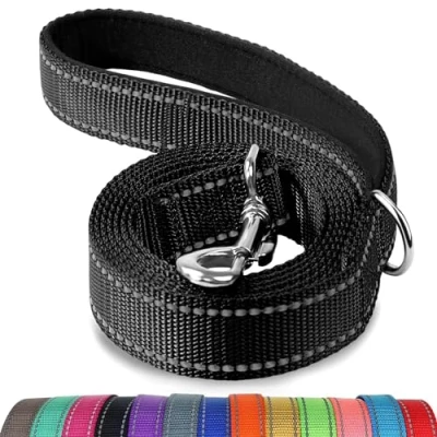 Abbildung von Joytale Hundeleine Kleine Hunde Leicht, Doppelseitig Reflektierende Leine Hund aus Nylon mit Gepolstertem Griff, 1,2m x 2cm, Schwarz