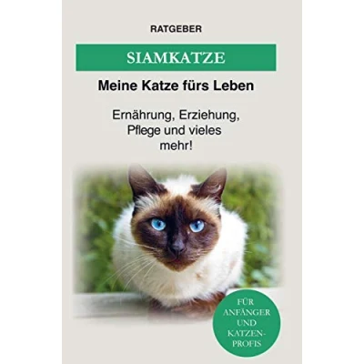 Abbildung von Siamkatze: Ernährung, Erziehung, Pflege und vieles mehr über die Siam Katze!