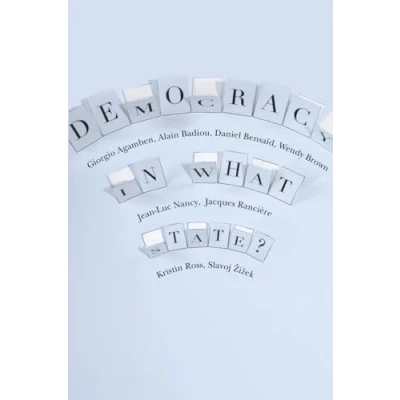 Abbildung von Democracy in What State? (New Directions Critical Theory, Band 11)