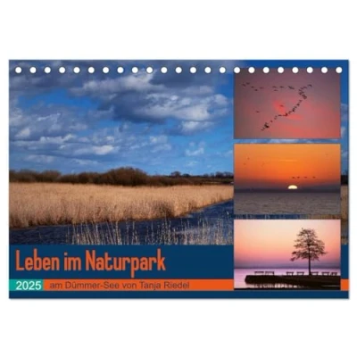 Abbildung von Leben am Naturpark um den Dümmer See (Tischkalender 2025 DIN A5 quer), CALVENDO Monatskalender