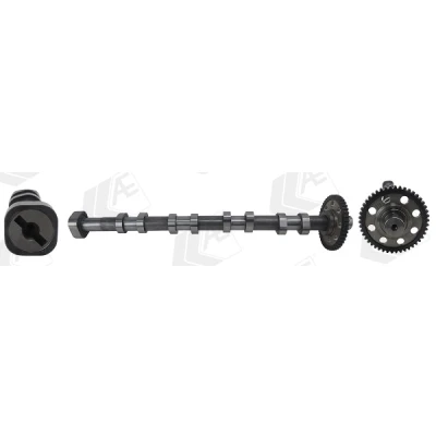 Abbildung von AE CAM1040 Nockenwelle Auslassseite AUDI: A3 Sportback, Schrägheck, TT Roadster, VOLKSWAGEN: Passat B6 Limousine, Variant