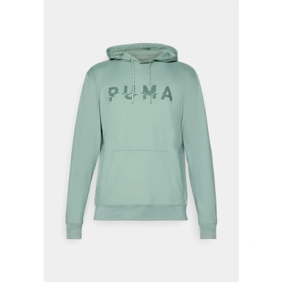Abbildung von Puma CLOUDSPUN Branded Hoodie Herren Green Moon Größe: L