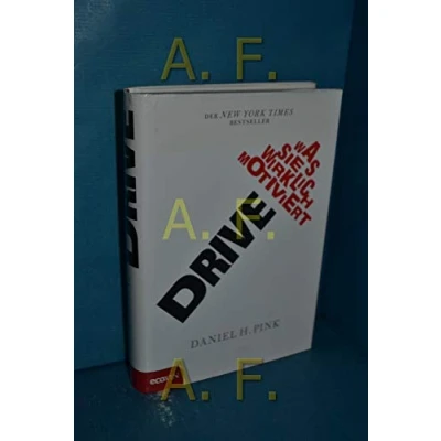 Abbildung von Drive: Was Sie wirklich motiviert