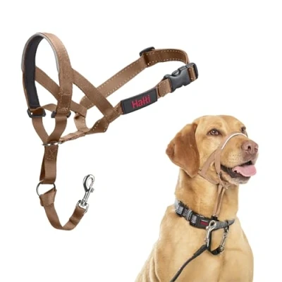 Abbildung von HALTI Kopfgeschirr Verhindert, dass Ihr Hund an der Leine zieht, Einfache Anpassung, Leicht, mit gepolstertem Nasenriemen, Anti Zug Halsband für mittelgroße Hunde (Größe 3, Wüstensand)