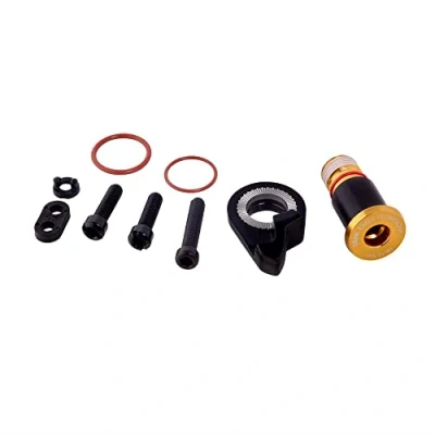 Abbildung von SRAM Unisex Ersatz Schaltwerk B Bolt und Limit Screw Kit Xx1 Eagle Gold Hex5 Service &amp; Ersatzteil, Einheitsgröße