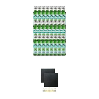Abbildung von Nordbrand Pfefferminzlikör 24 x 0,02 Liter Minis + Schiefer Glasuntersetzer eckig ca. 9,5 cm Ø 2 Stück