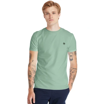 Abbildung von Timberland Dunstan River Short Sleeve TEE Tshirt basic, Herren, Größe: Large, Cameo green