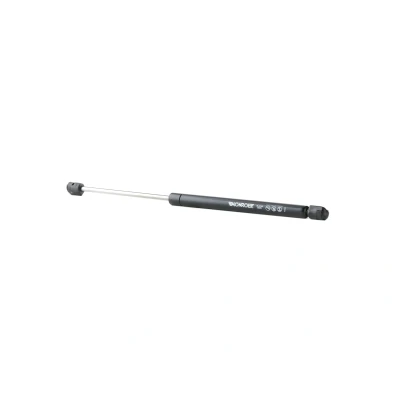 Abbildung von MONROE ML6169 Heckklappendämpfer 660 452 HYUNDAI: SANTA FE 2